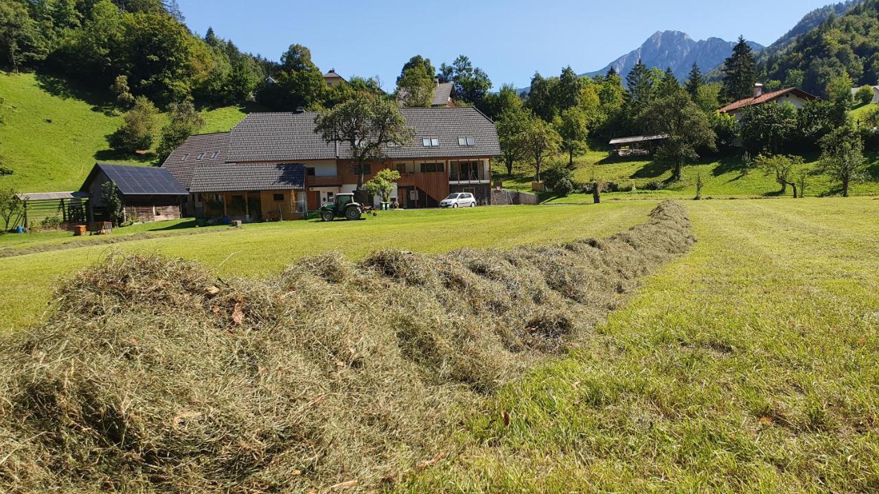 Apartments Tourist Farm Storman With Ev Ch-Station Trzic Exterior photo